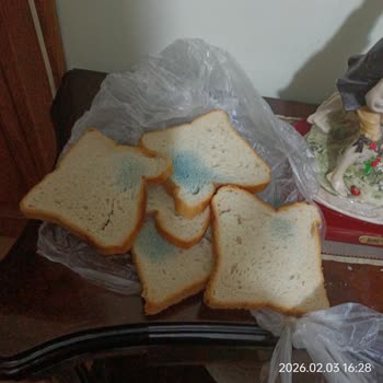 Tost Ekmeğinde Ortada Küf Tespiti Ve Hijyen Şikayeti