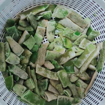 Feast Dondurulmuş Fasulyede Beyaz Tabaka Ve İade Değişim Talebi