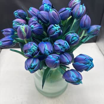 Kısa Sürede Solan Çiçekler İçin İade Talebi