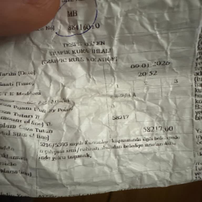 Martı Bağladığı Araç Otoparkta Kaldı, Ücretleri Şirket Ödemeli