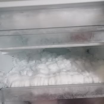 Sık Buzlanma Ve Küflenme Sorunlu Derin Dondurucu İçin İade Talebi