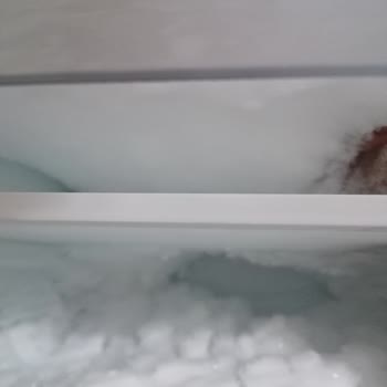 Sık Buzlanma Ve Küflenme Sorunlu Derin Dondurucu İçin İade Talebi