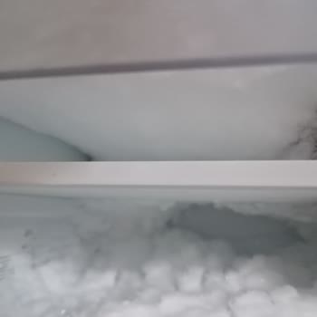 Sık Buzlanma Ve Küflenme Sorunlu Derin Dondurucu İçin İade Talebi