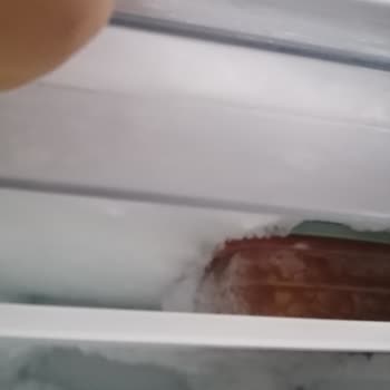 Sık Buzlanma Ve Küflenme Sorunlu Derin Dondurucu İçin İade Talebi