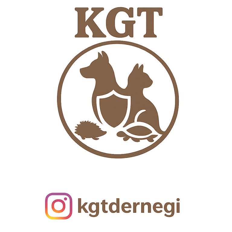 Baskılı Porselen Kupa Siparişi Teslim Edilmedi Ve 6.000 TL İade Talebi