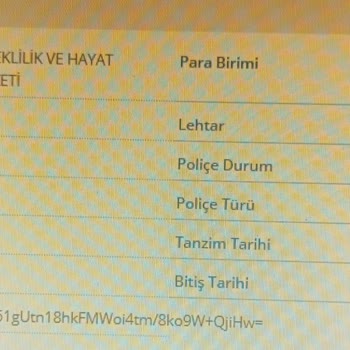 Kredi İçin Zorunlu Hayat Sigortası İptal Edilemedi Ve Yenilenmesi Durdurulmalı