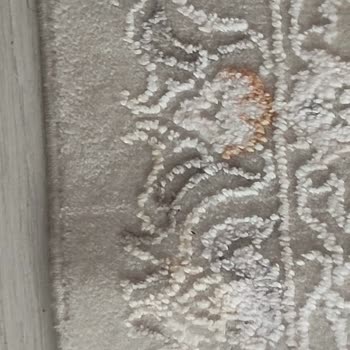 Kalıcı Kolalı Leke Nedeniyle Evkur Halısının Değişim Veya İade Talebi