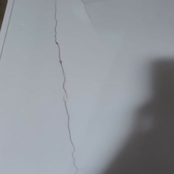 Kırık Bulaşık Makinesi Teslim Edildi, Hızlı İade Talebi