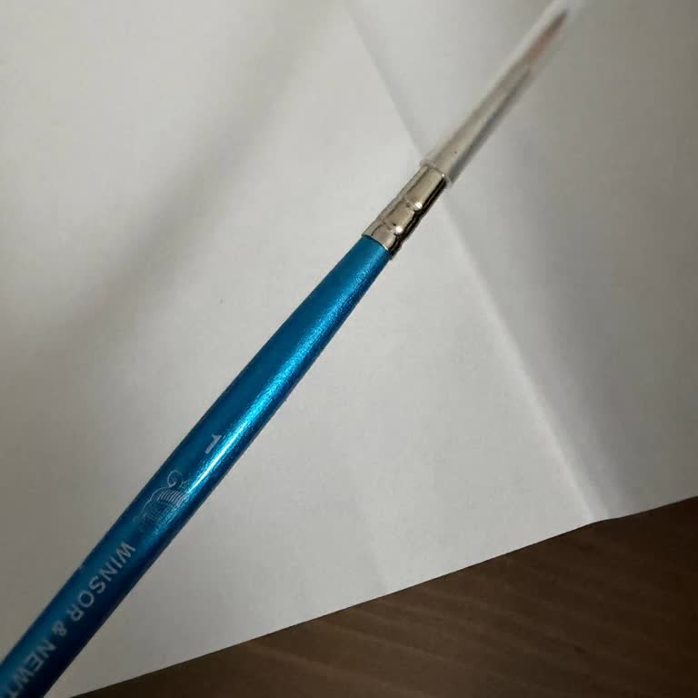 Amazon Yanlış Ürün Gönderimi Ve Sipariş Durumu Güncellenmemesi