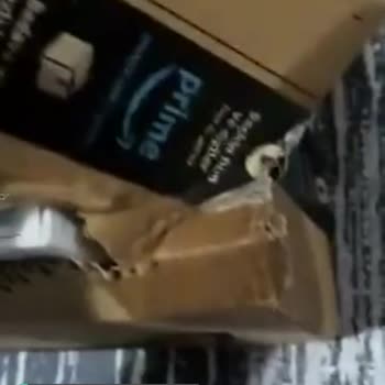 Amazon'dan Aldığım Mamalarda Benzin Kokusu Var