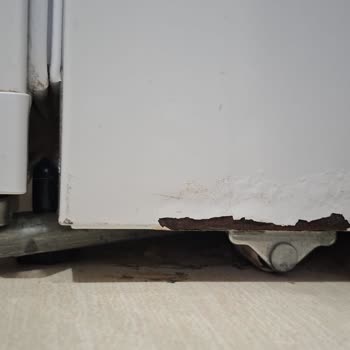 Garanti Kapsamındaki Bosch Buzdolabında Paslanma ve Ücretli Değişim Teklifi