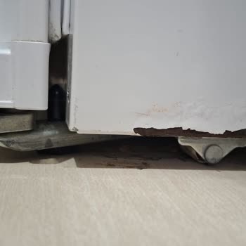 Garanti Kapsamındaki Bosch Buzdolabında Paslanma ve Ücretli Değişim Teklifi