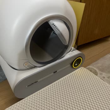 Haustier Bf01 Kedi Tuvaleti Sürekli Duruyor, Çalışma Kesintisi Yaşıyor