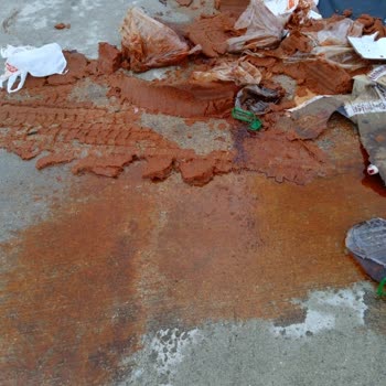 Şoförün Kamil Koç Otobüsünde Ürünlerimi Ezmesi Ve Tazminat Talebi