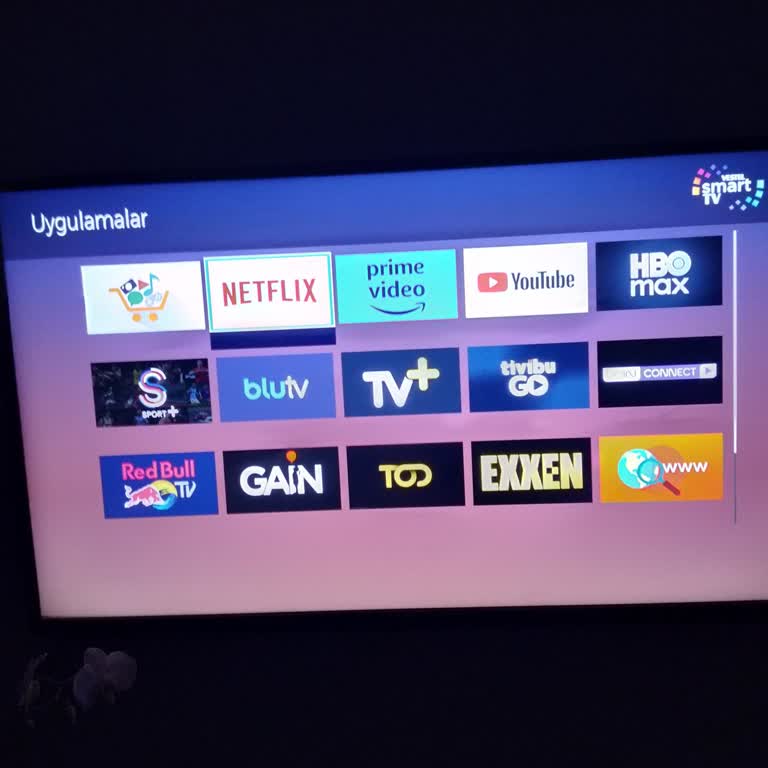 Vestel Akıllı TV'de Uygulamalara Erişim Sorunu