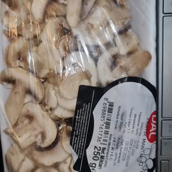 Getir'den Gelen Dal Mantarda Kıl Vardı