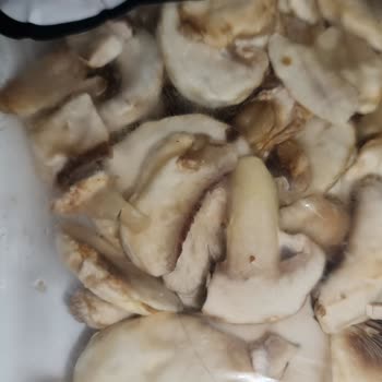 Getir'den Gelen Dal Mantarda Kıl Vardı