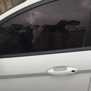 Kasko Dosyamın Gecikmesi Ve Eksperin Gelmemesi