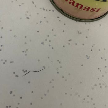 Tarhana Baba İlk Adım Bebek Tarhanasında Metal Tel Bulunması Ve Çocuk Güvenliği Riski