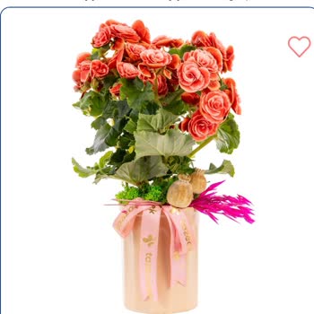 Taze Çiçek Siparişinde Görsel Uyuşmazlığı, Özensiz Teslimat Ve İade Talebi