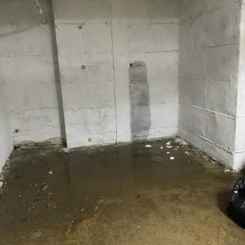 Yeni teslim edilen dairedeki sürekli tesisat ve yapı sorunları