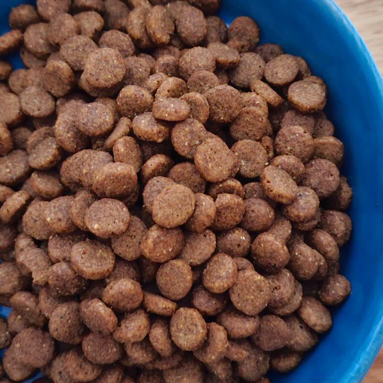 Hepsiburada Royal Canin Kedi Maması, Çift Paket Gönderildi, Satıcı Görünmüyor