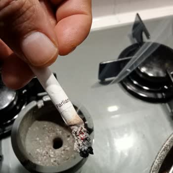 Parliament Night Blue’da Odun Tadına Dönüş Ve Kalite Düşüşü