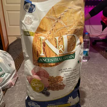 Koyu Renkli Ve Aşırı Kokulu Köpek Maması, Siyah Renkli Atık Şikayeti