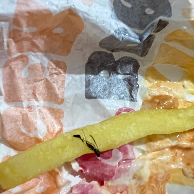 Patateste Böcek Ve Hijyen Skandalı Sonrası İlgisiz Yanıtlar