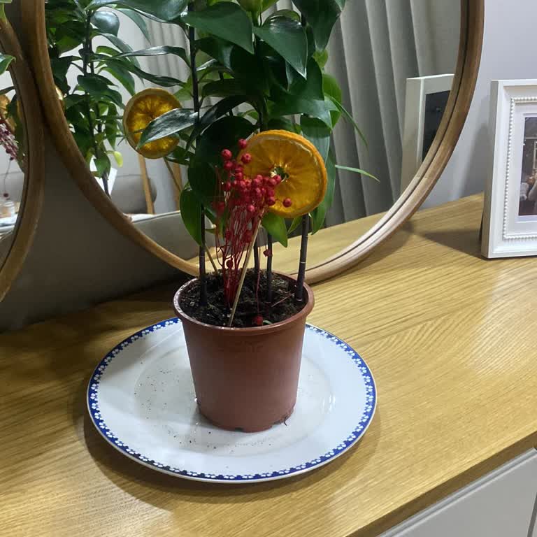 Taze Çiçek | Tazecicek.com Şikayeti