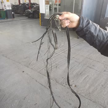 Ana Sigorta Şikayeti