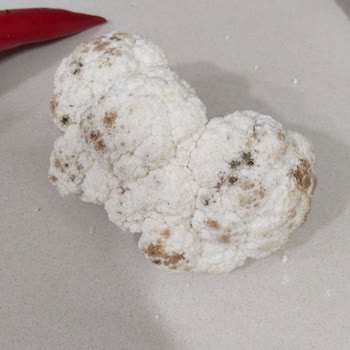 Bosch Buzdolabında Çizik Cam Raflar Ve Çatlak Çekmece, İade Ve Değişim Talebi