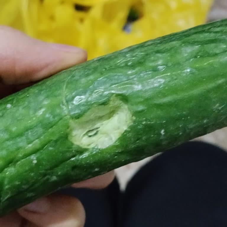 Şok Marketler Çürük Ürünler ve İade Sorunu