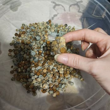 Küflü Kedi Maması Ve Cevapsız İdefix Müşteri Hizmeti