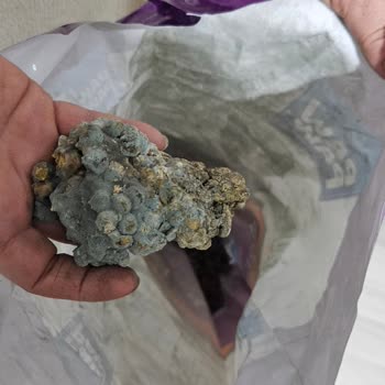 Küflü Kedi Maması Ve Cevapsız İdefix Müşteri Hizmeti