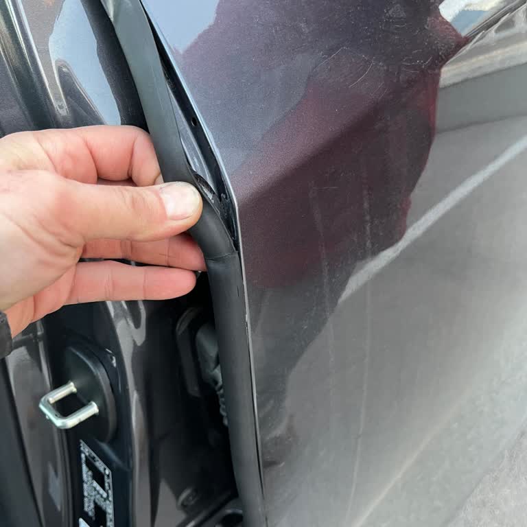 Instalación incorrecta del burlete en mi Lexus RX500h y daños