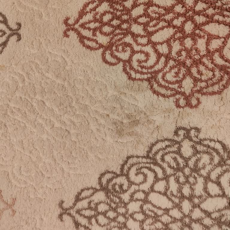 Akpak Halı Yıkama Söz Verilen Fiyatı Aşan Gizli Servis Ücreti Ve Nemli, Lekeli Halı Yıkama