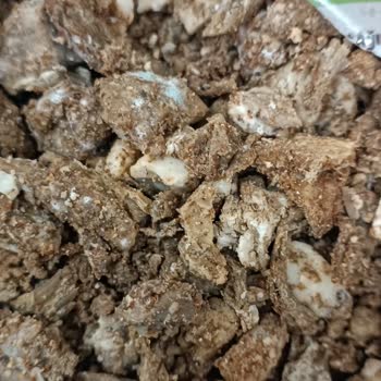 Migros Sanal Market'ten Küflü Kokoreç Ve Kurye Gelmemesi