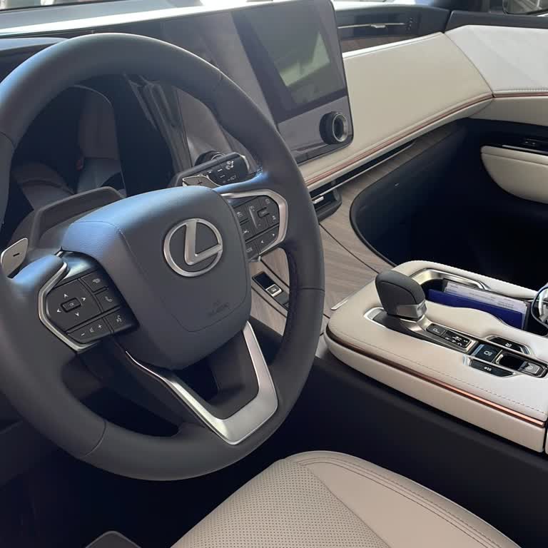 Decepción en calidad de Lexus LM 350, experiencia negativa