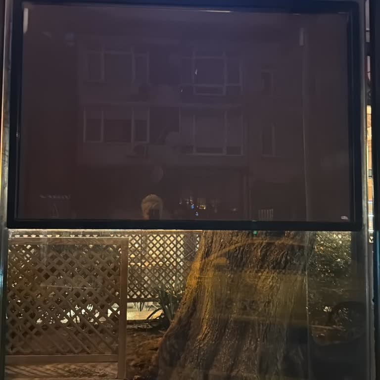 11ÜS Hattında Sürekli Sefer Atlama Ve Fıstıkağacı Durak Ekranı Giderilmedi