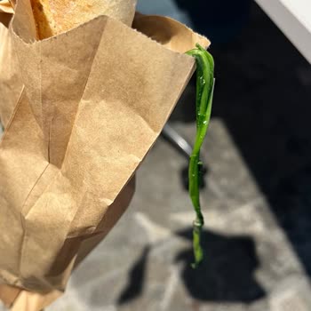 Starbucks'tan Bozulmuş Sipariş, Sağlık Sorunu Ve İlgisizlik