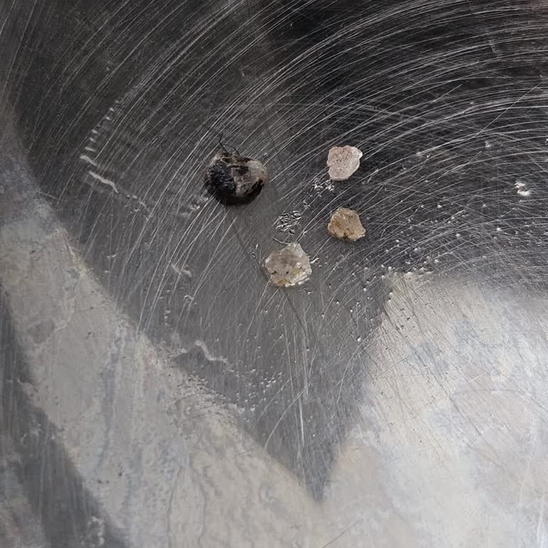 Eti Lifalif Müsli'de Taş Ve Cam Benzeri Parçalar Çıktı, Sağlık Riski Ve Güven Sorunu