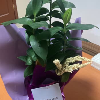 Sipariş Edilen Çiçek Görseliyle Uyuşmayan, Eksik Ve Kalitesiz Teslimat Ve İade Talebi