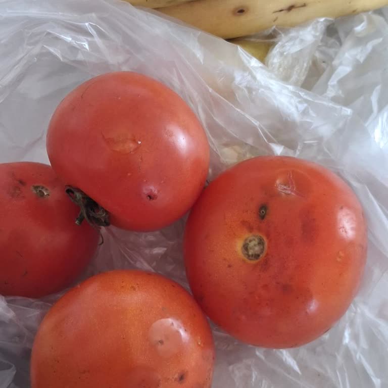 Şok Marketler Online Sipariş Veriyorum Meyve Sebze Grubunda Uzun Süredir Ciddi Sorunlar Yaşıyorum