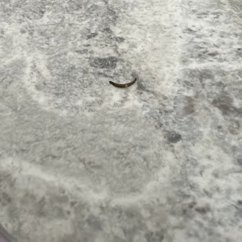 UNO Lavaşından Metal Parça Çıktı Acil İnceleme Gerekiyor