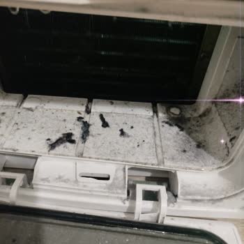 Uğur Kurutma Makinesinin Aşırı Toz Çıkarması Ve İade Talebi