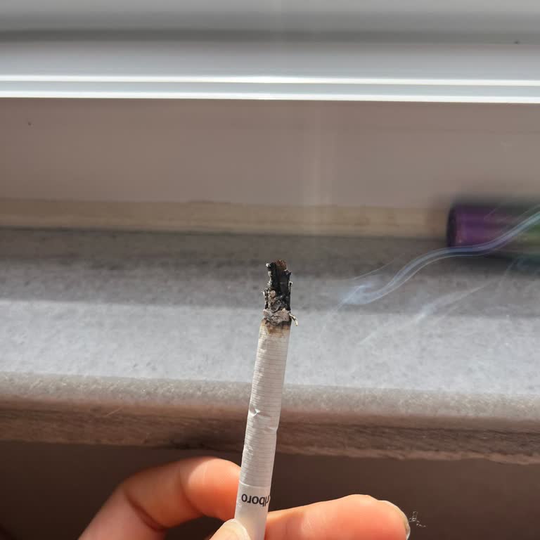 Marlboro Touch Blue’da Sürekli Dal Çıkması