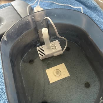 Su Pompası Arızası Ve Ücretsiz Parça Değişimi Talebi