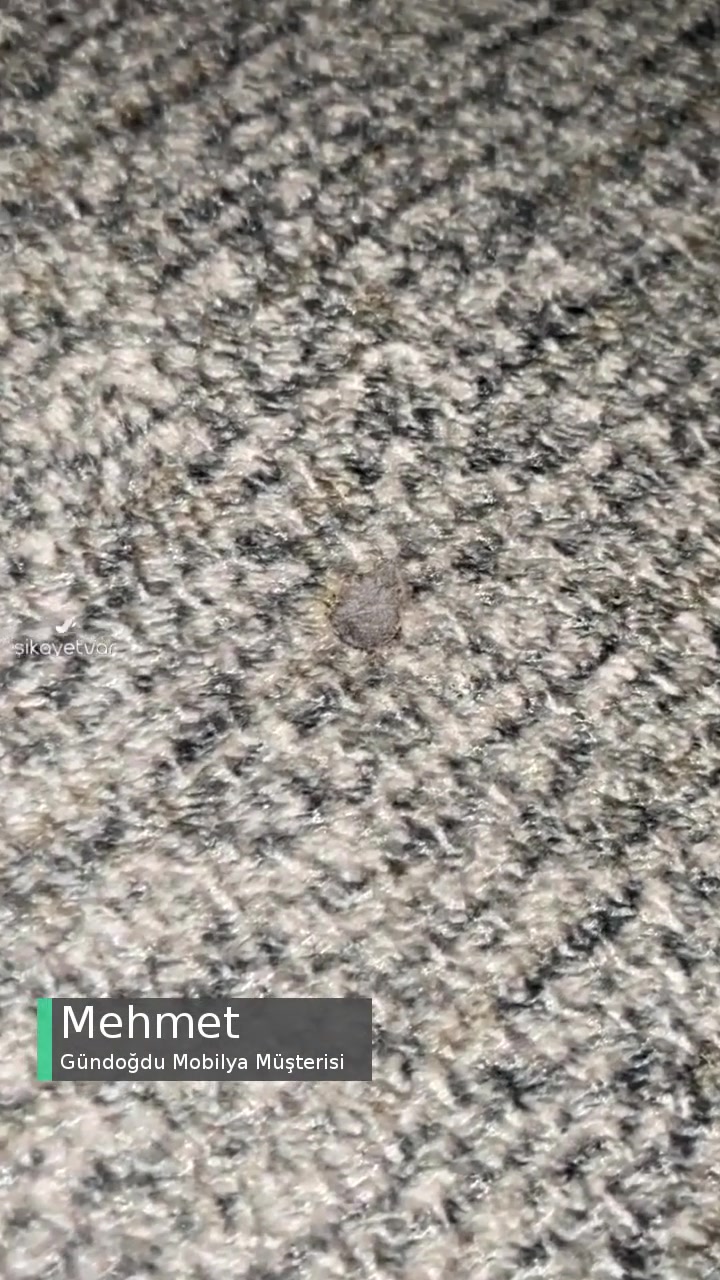 Gündoğdu Mobilya Sıfır Sigara, Yanıklı Koltuk! videonun kapak resmi