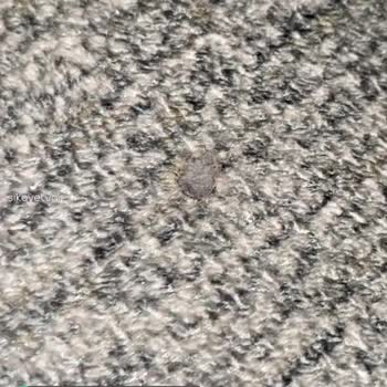 Gündoğdu Mobilya Sıfır Sigara, Yanıklı Koltuk!
